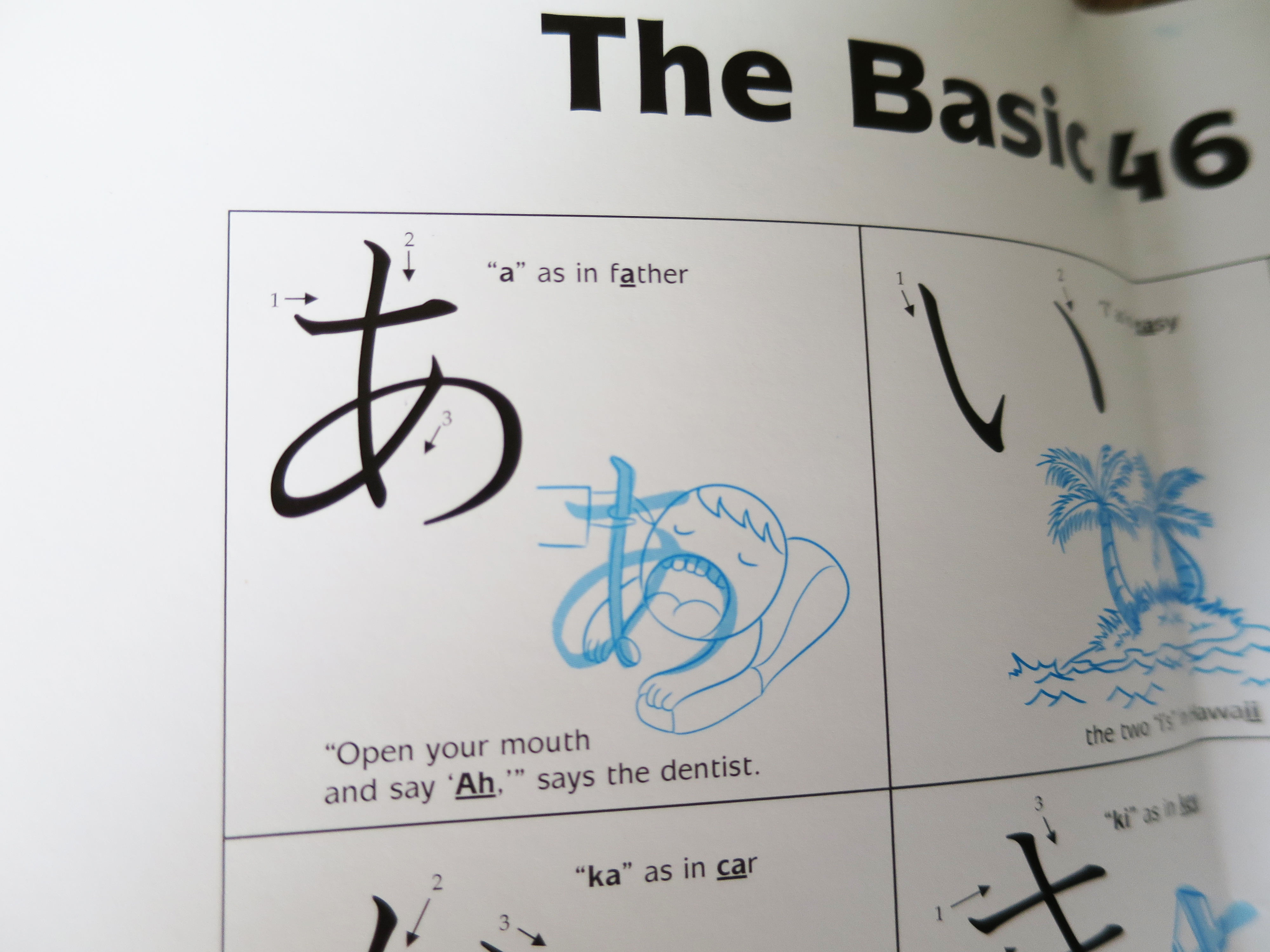 Tuttle Publishing Japanese Hiragana And Katakana Flas vrogue.co