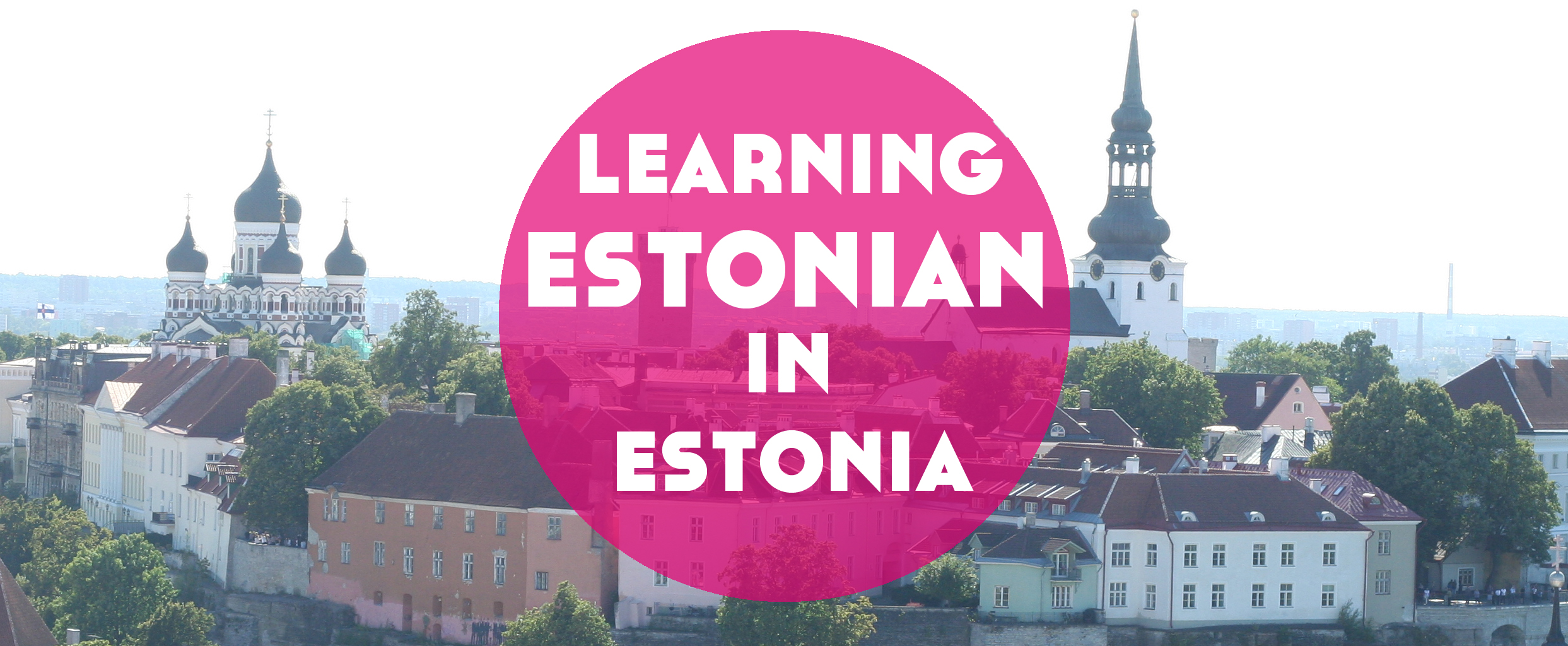 Learning Estonian in Estonia Lindsay Does Languages