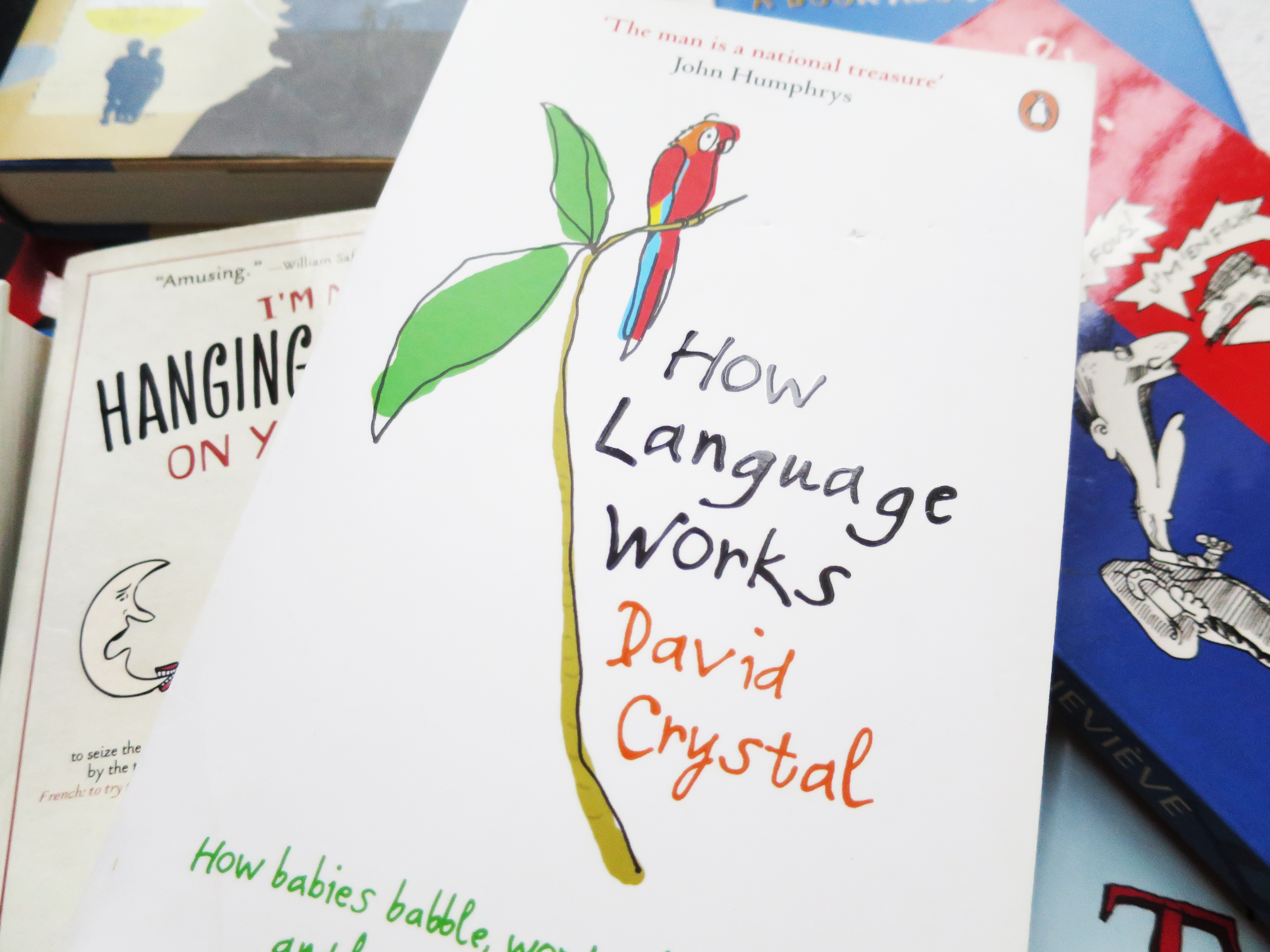 If you love languages, chances are you love reading books about language and linguistics too. Here's 10 of my favourite inspiring books about language and linguistics.