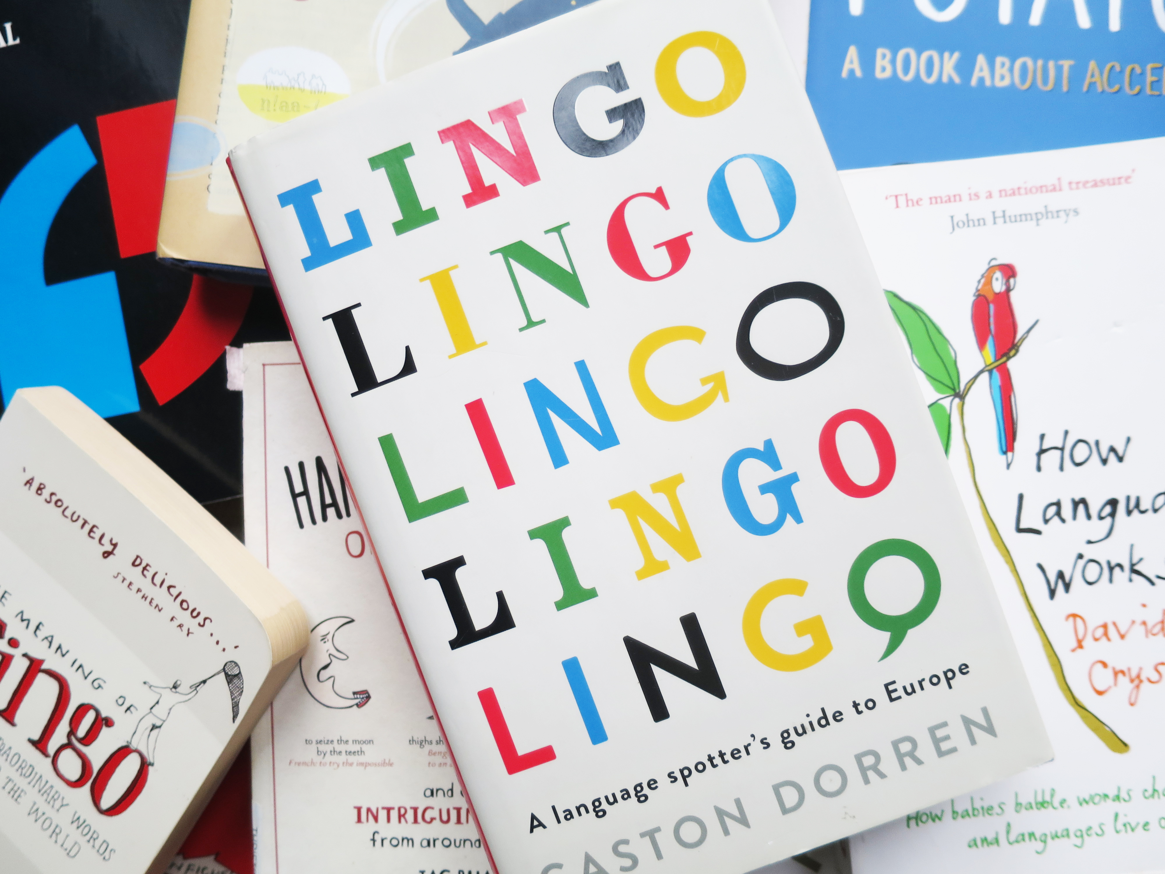 If you love languages, chances are you love reading books about language and linguistics too. Here's 10 of my favourite inspiring books about language and linguistics.