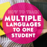 How to Teach Multiple Languages to One Student