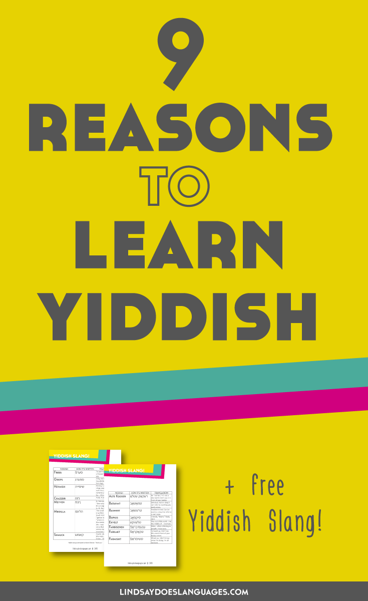 Ever thought about learning Yiddish? Here are 9 reasons to learn Yiddish and the best resources to learn the language. If you've been looking for some reasons to learn Yiddish, Moshe has got you covered. Click through to get your free Yiddish slang too!